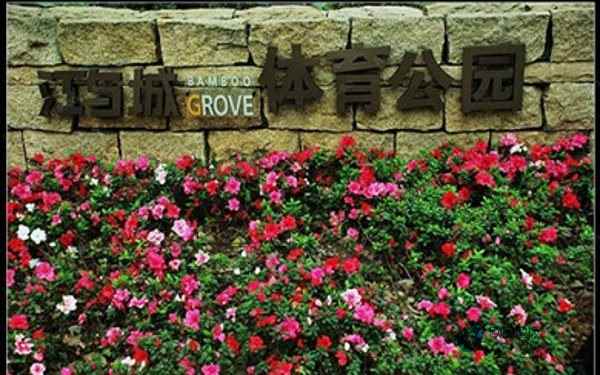 廠家去哪找？硬木企口體育木地板
